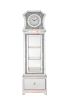 ACME Noralie GRANDFATHER CLOCK W/LED Mirrored & Faux Diamonds AC00350