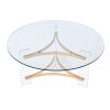 ACME Sosi Coffee Table , Gold Finish LV01083